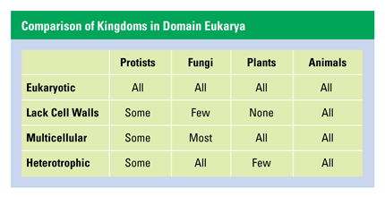 Characteristics of Plants and Animals