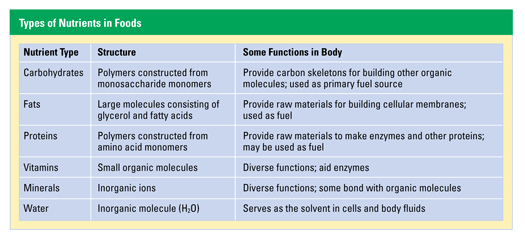 food-structure-and-nutrition-interface-new-perspectives-in-designing