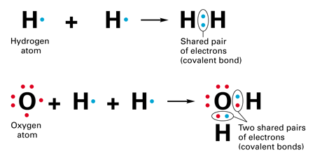 oxygen covalent bond