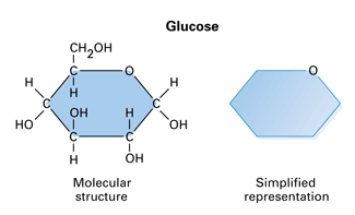 monosaccharide diagram