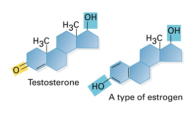 7 Strange Facts About Metasterone powder buy online